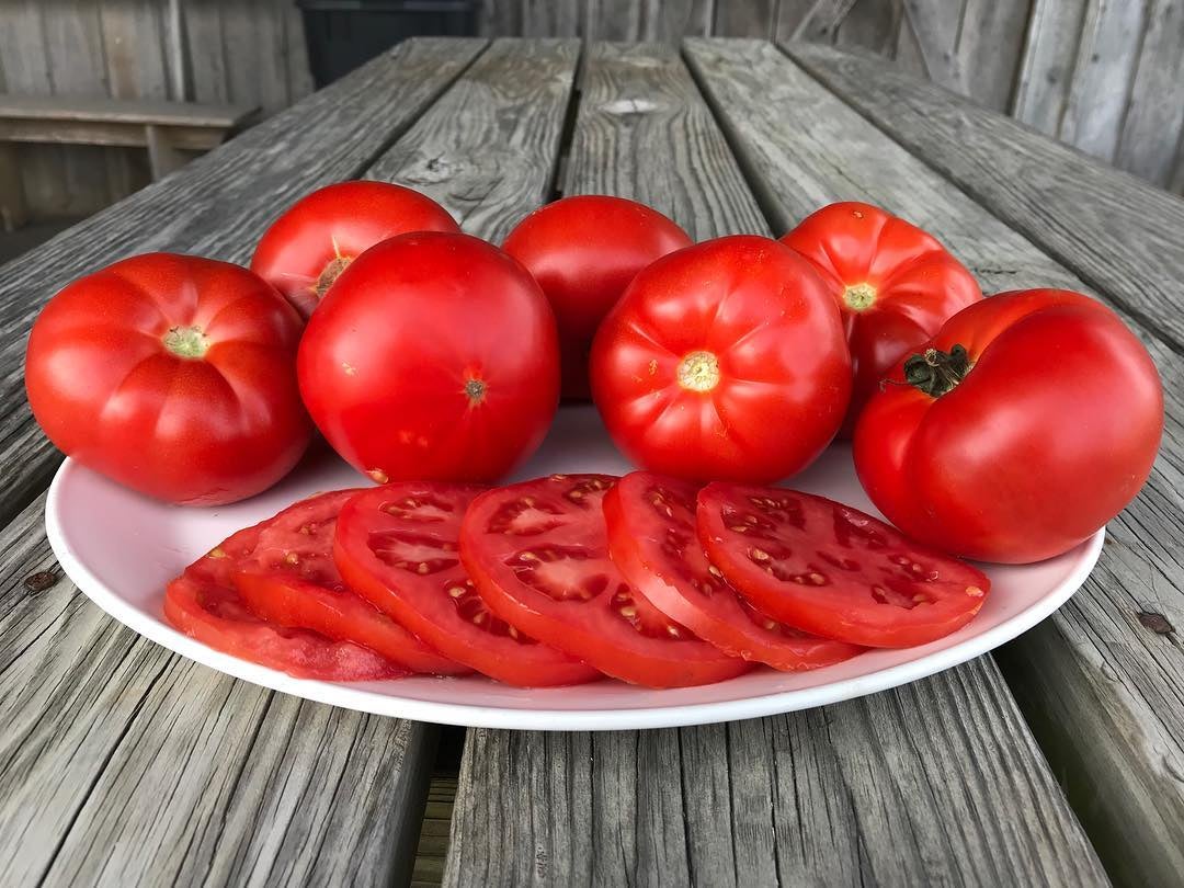 PreOrder a Half Bushel of Homegrown Tomatoes PickUp in August